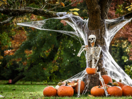 Halloween v Zoo Zlín až do 2.11.
