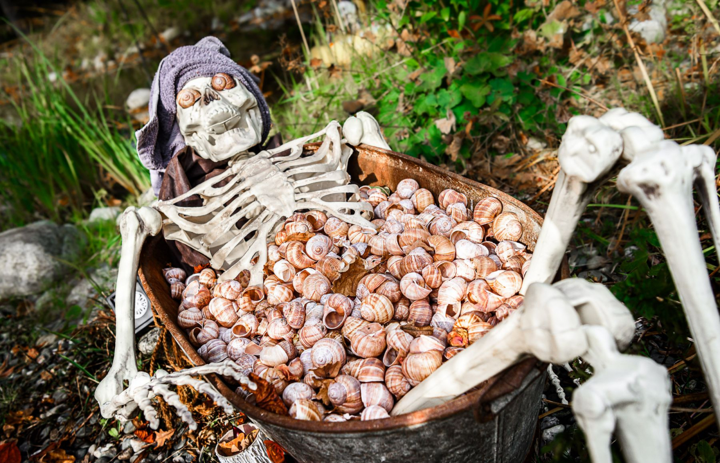 Halloween v Zoo Zlín až do 2.11.