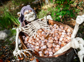 Halloween v Zoo Zlín až do 2.11.