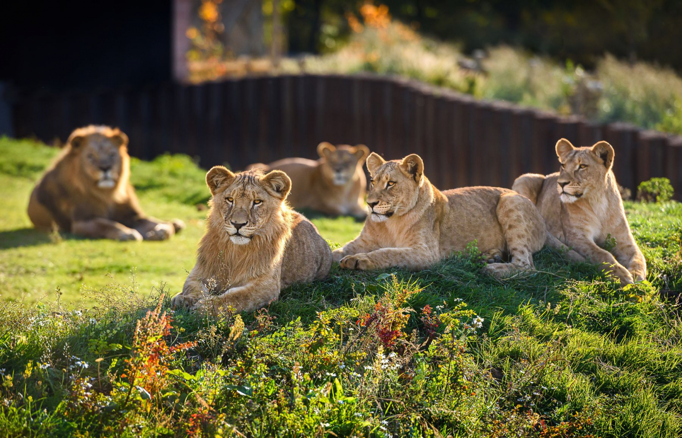 Do Zoo Zlín za zvýhodněné vstupné