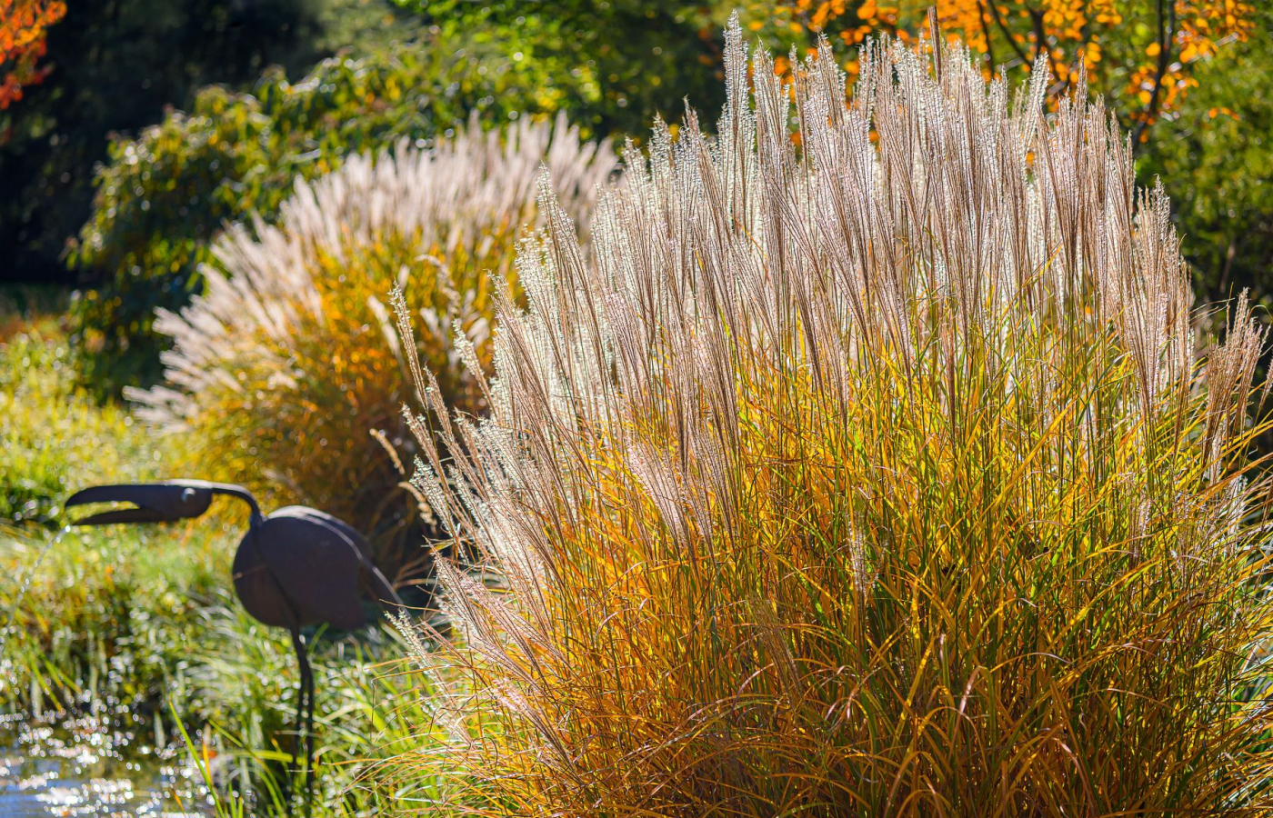 Do Zoo Zlín za zvýhodněné vstupné