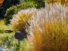 Do Zoo Zlín za zvýhodněné vstupné