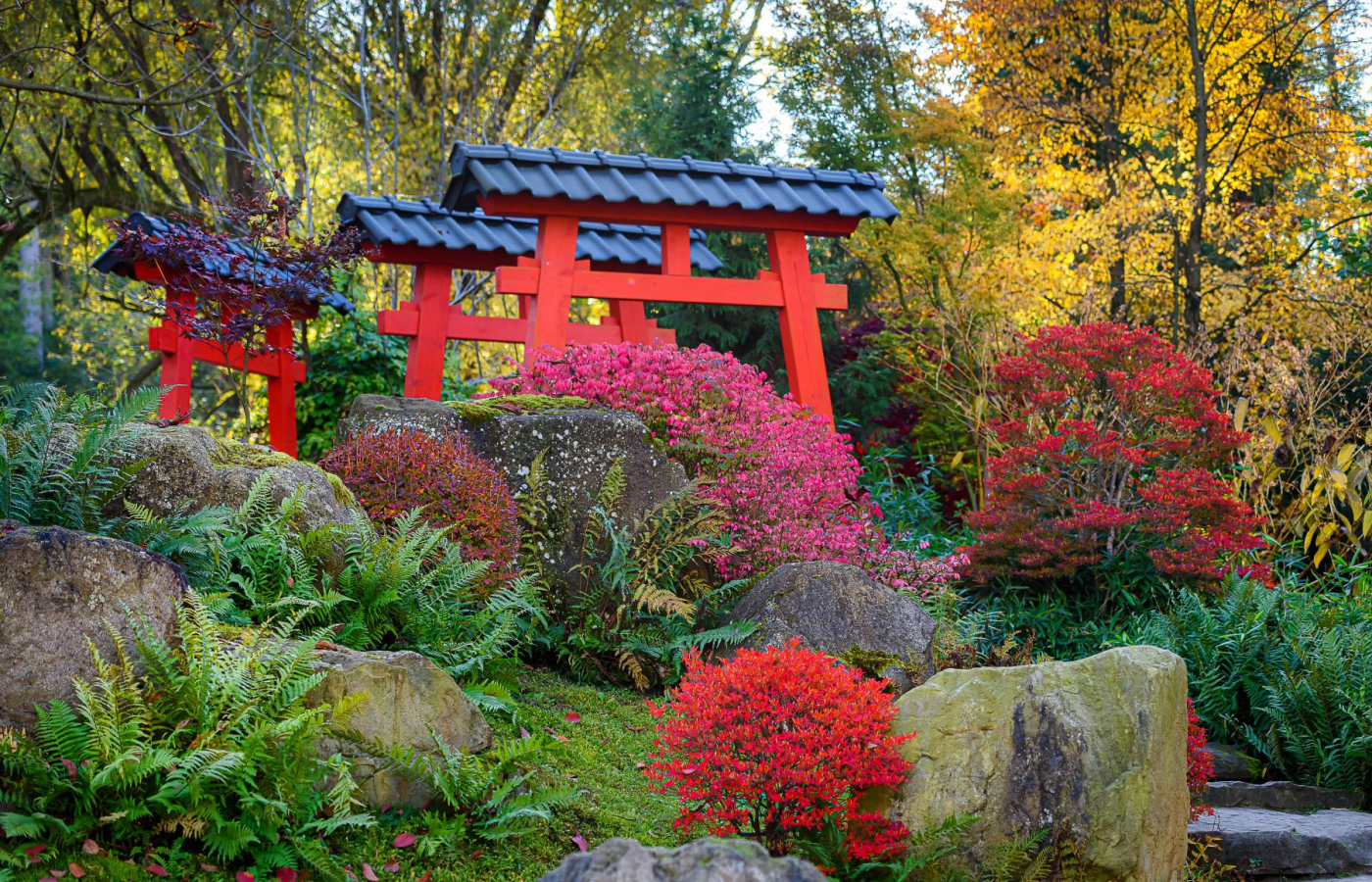 Do Zoo Zlín za zvýhodněné vstupné