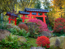 Do Zoo Zlín za zvýhodněné vstupné