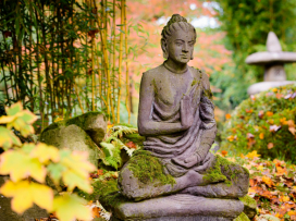 Do Zoo Zlín za zvýhodněné vstupné