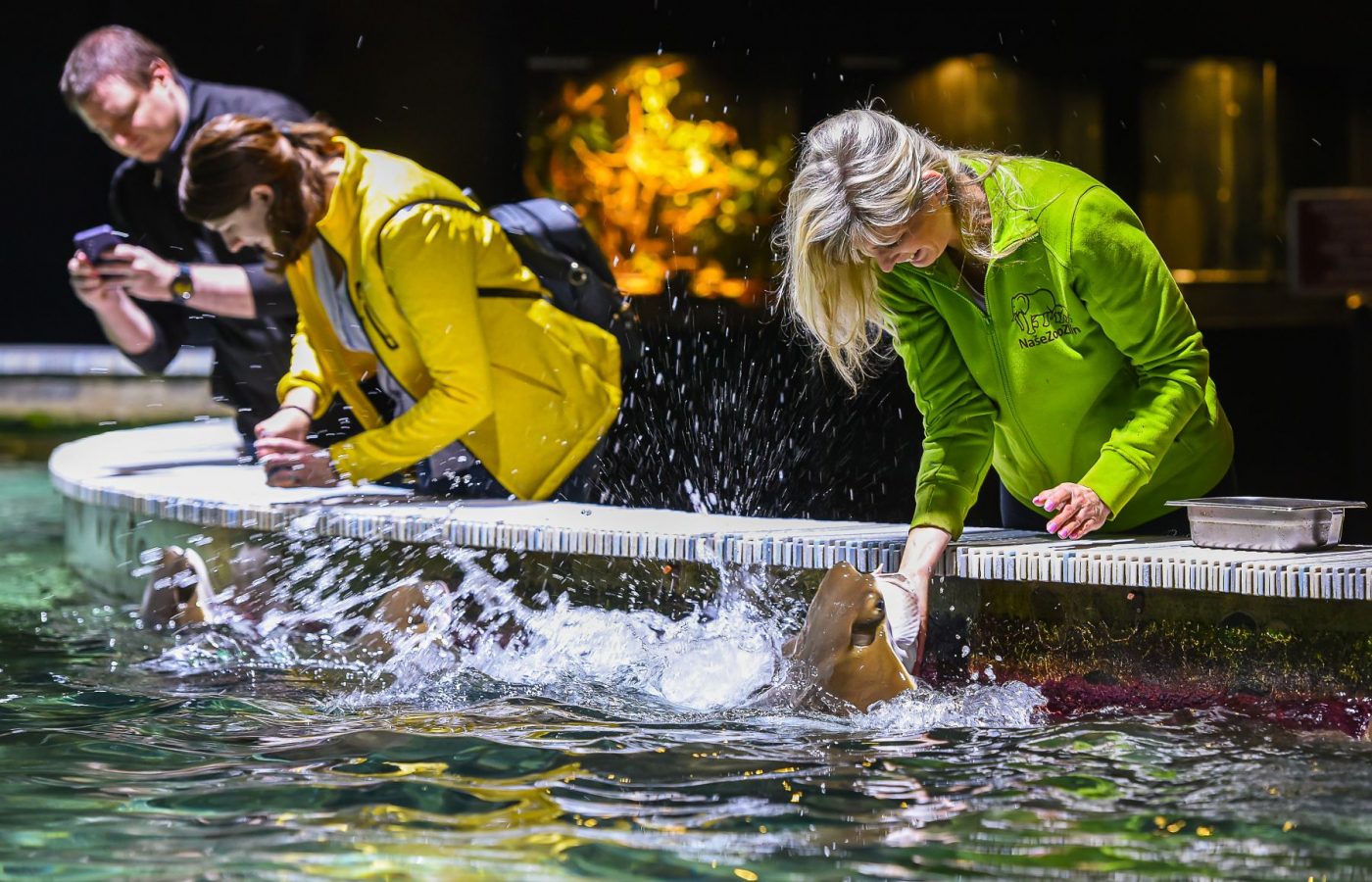 Husí speciality v restauraci Tyrol