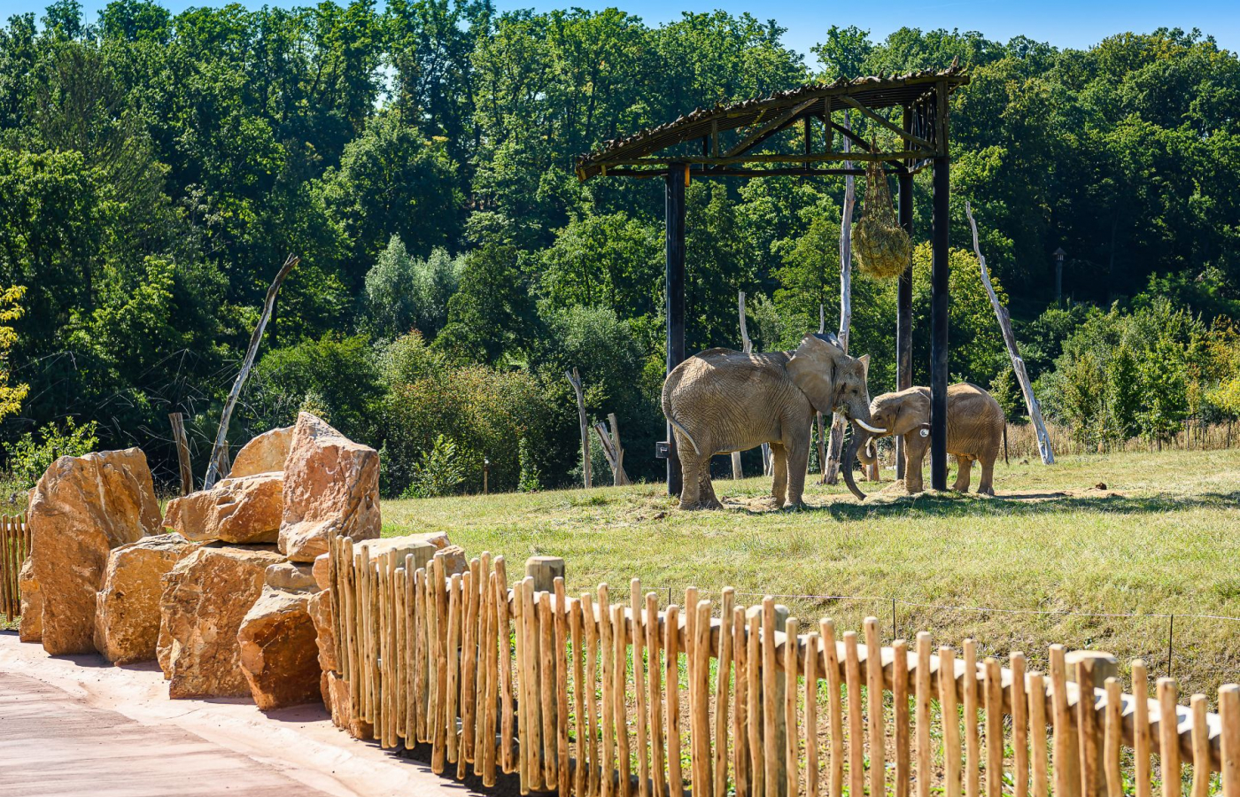Přijďte si užít kouzelnou podzimní Zoo Zlín
