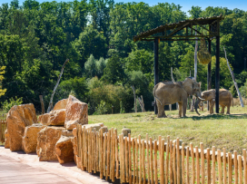 Přijďte si užít kouzelnou podzimní Zoo Zlín