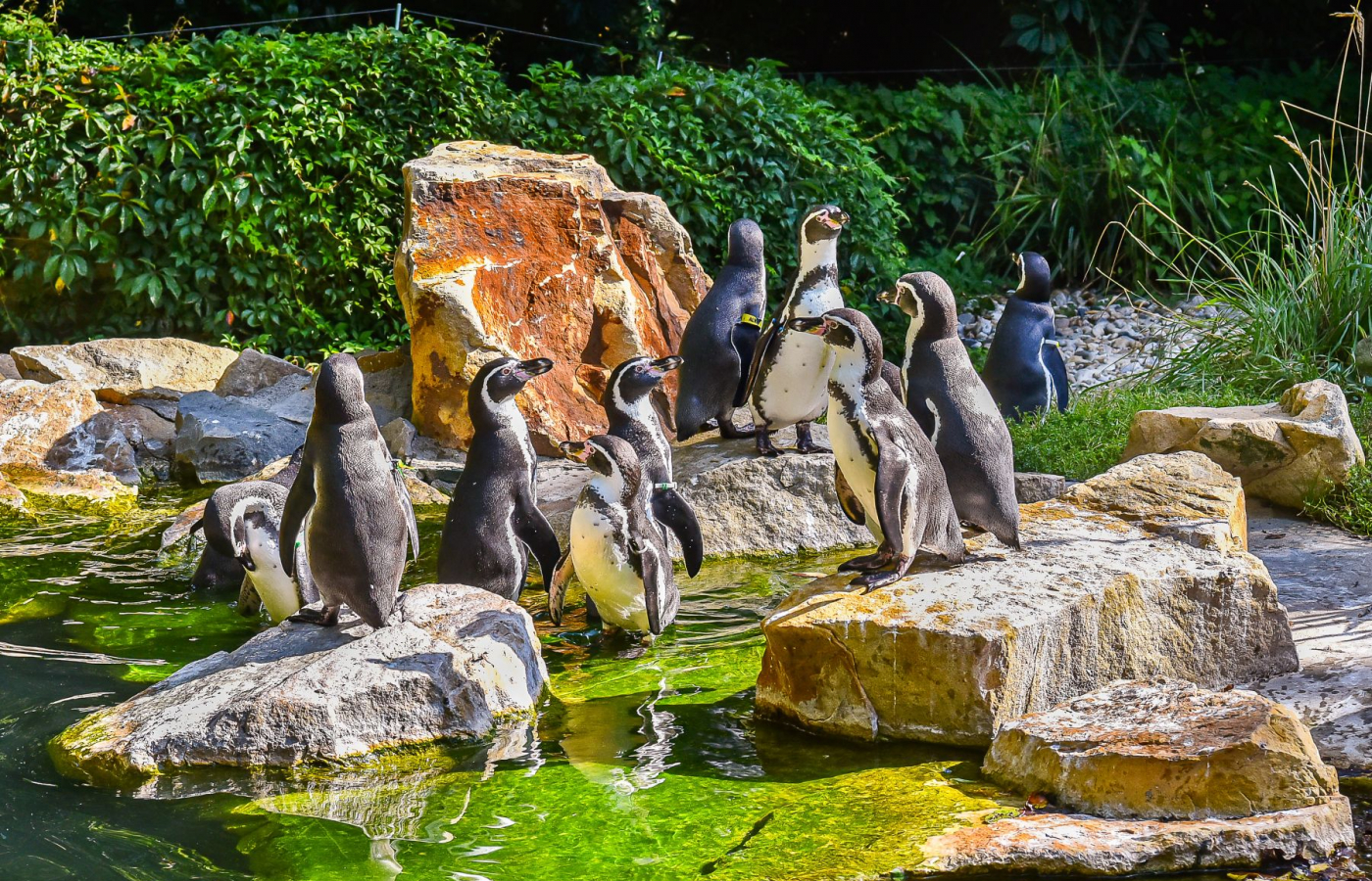 Přijďte si užít kouzelnou podzimní Zoo Zlín