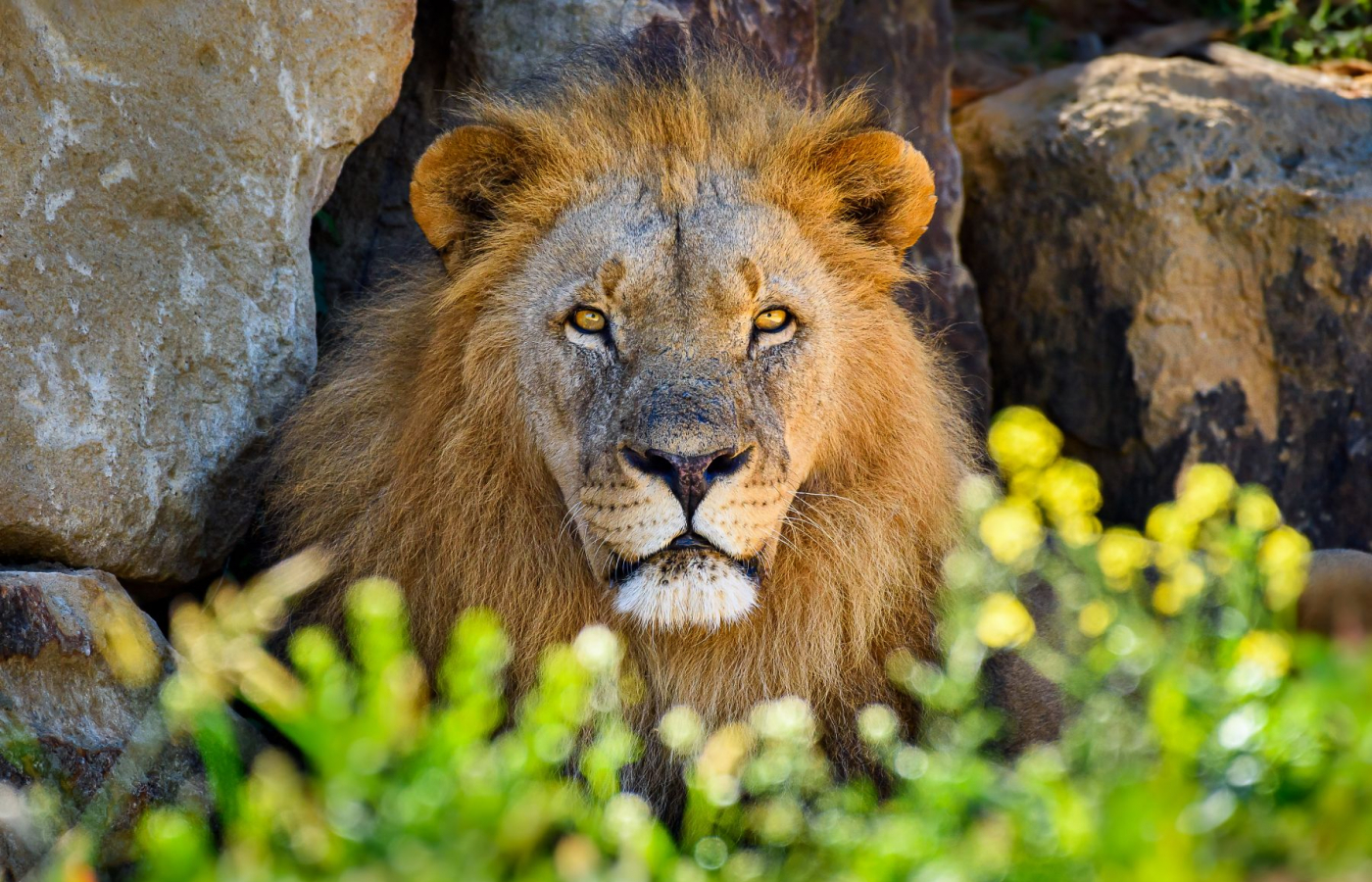 Přijďte si užít kouzelnou podzimní Zoo Zlín