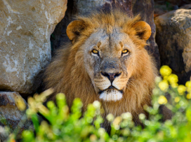 Přijďte si užít kouzelnou podzimní Zoo Zlín