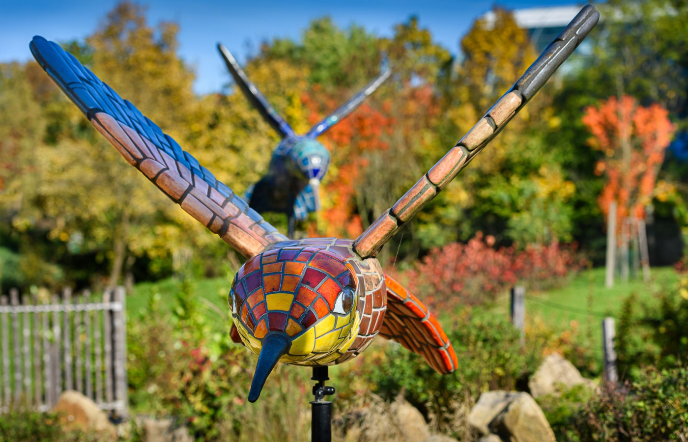 Pestrobarevný podzim v Zoo Zlín