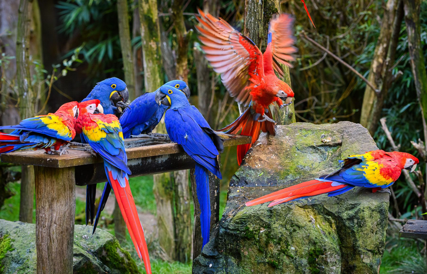 Pestrobarevný podzim v Zoo Zlín