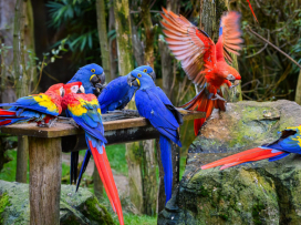 Pestrobarevný podzim v Zoo Zlín