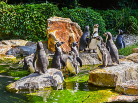 Pestrobarevný podzim v Zoo Zlín