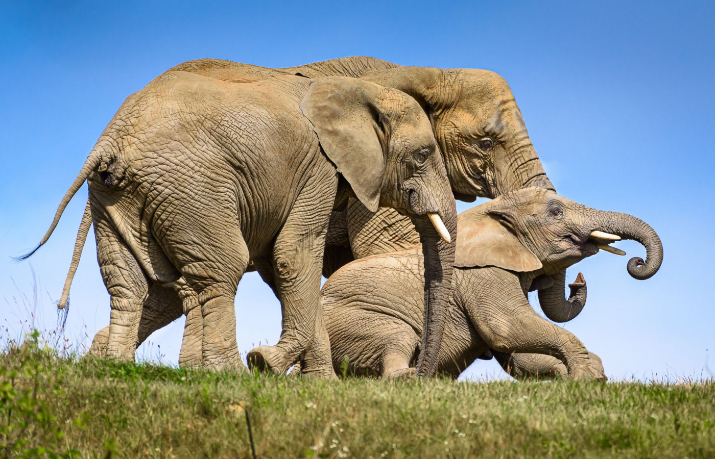 Máme velkou radost, magická meta 800 000 návštěvníků je na dosah