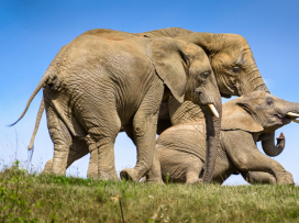 Máme velkou radost, magická meta 800 000 návštěvníků je na dosah