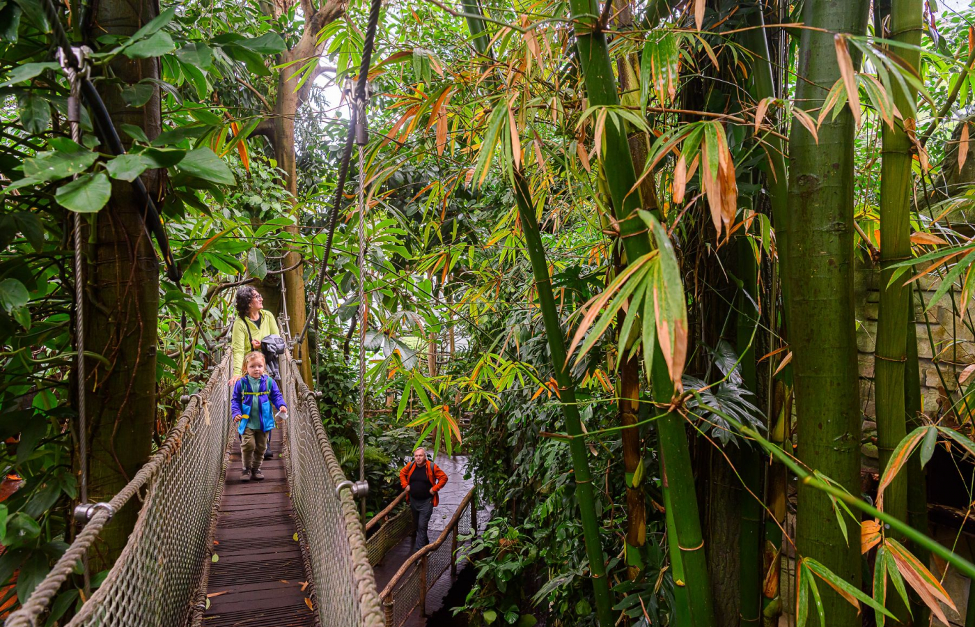 Zavítejte do Zoo Zlín