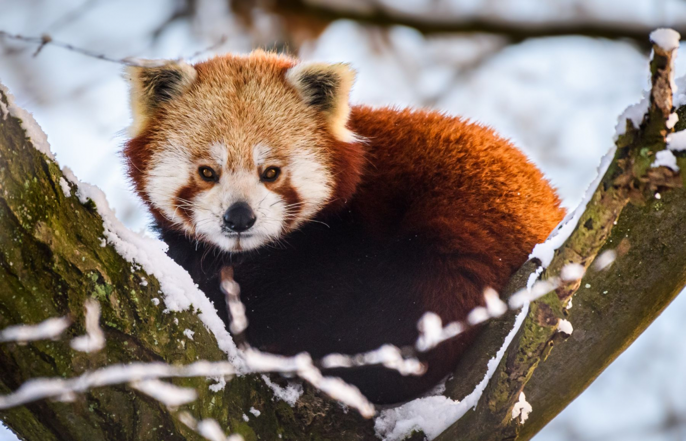Zavítejte do Zoo Zlín