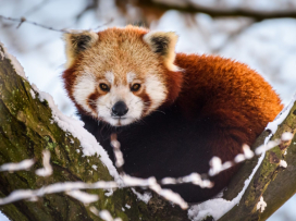 Zavítejte do Zoo Zlín