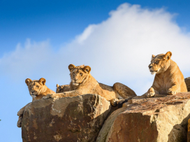 Zavítejte do Zoo Zlín