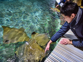 Zavítejte do Zoo Zlín