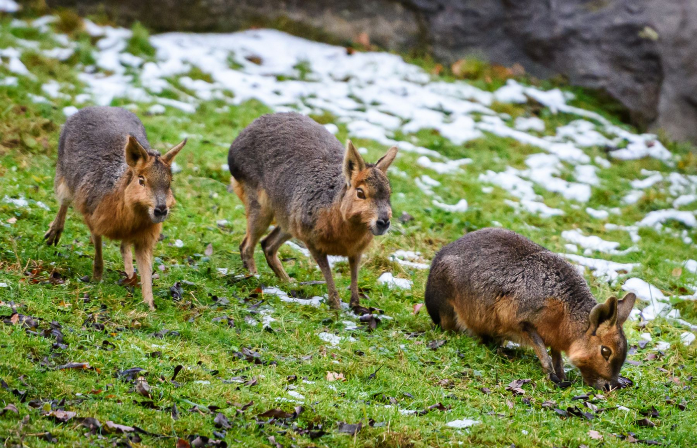 Zavítejte do Zoo Zlín