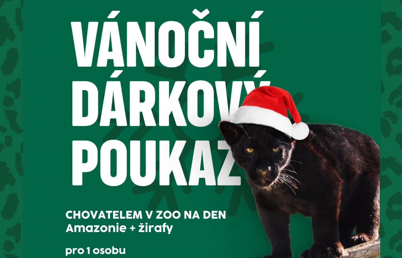 Exkluzivní kolekce vánočních poukazů a vánočních složek