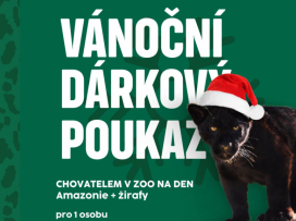 Exkluzivní kolekce vánočních poukazů a vánočních složek