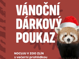 Exkluzivní kolekce vánočních poukazů a vánočních složek