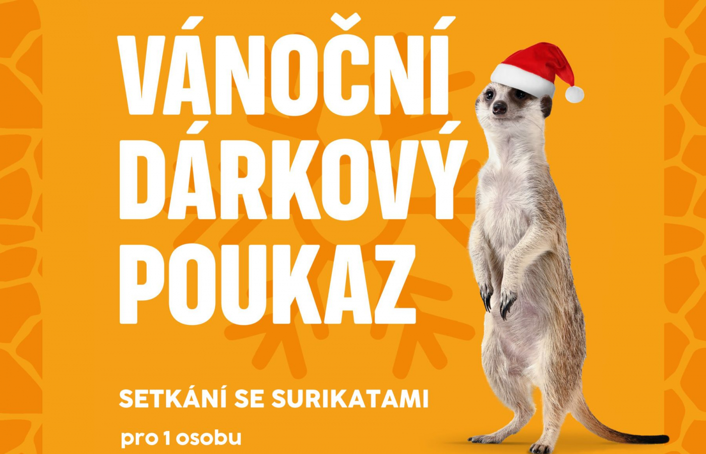 Exkluzivní kolekce vánočních poukazů a vánočních složek