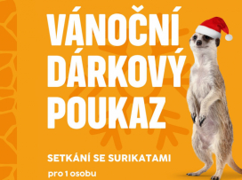 Exkluzivní kolekce vánočních poukazů a vánočních složek