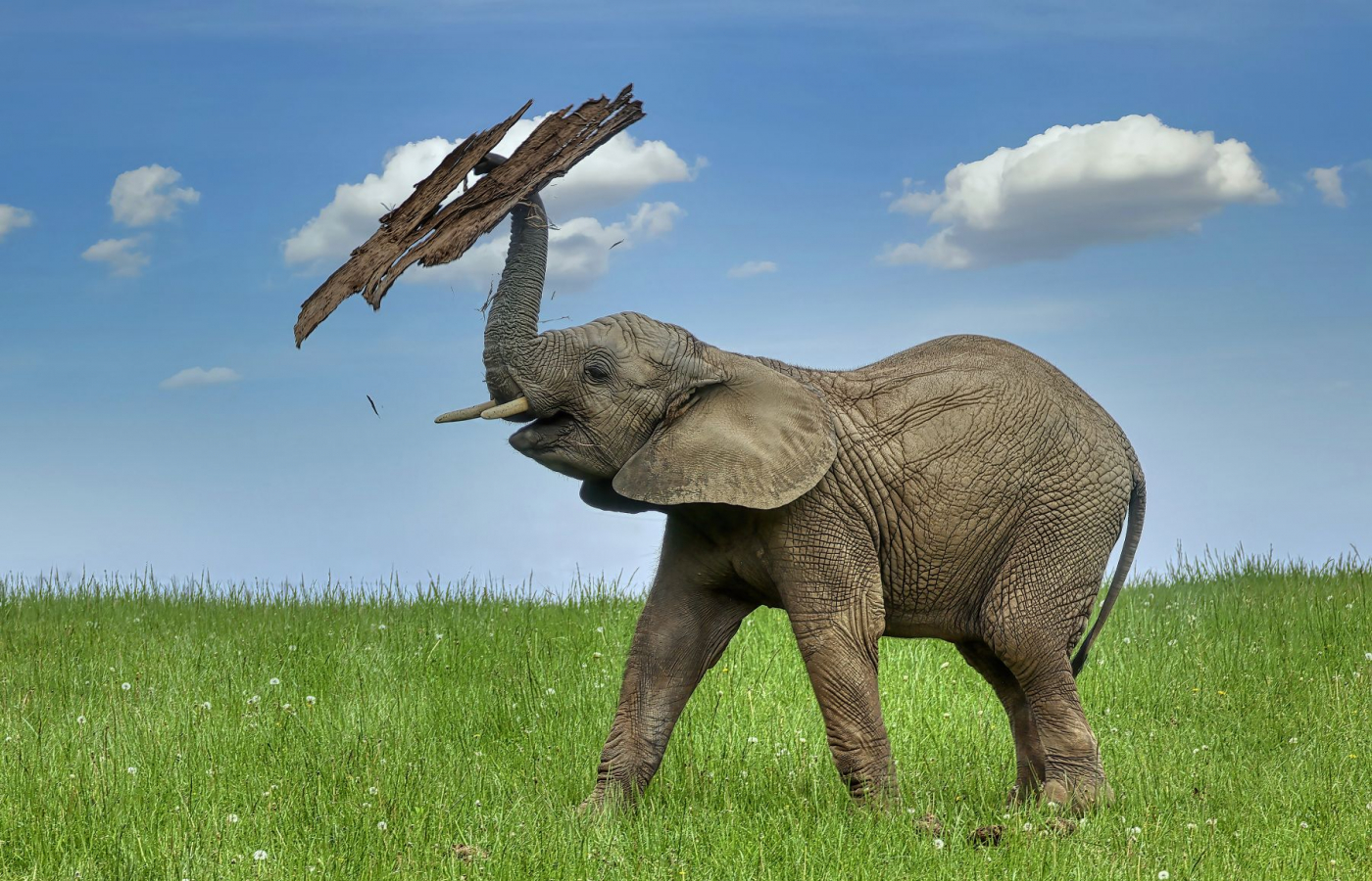 Hranice 800 000. návštěvníků už je nadosah