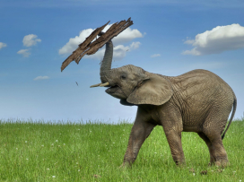 Hranice 800 000. návštěvníků už je nadosah