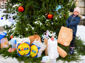 Vánoční Zoo Zlín