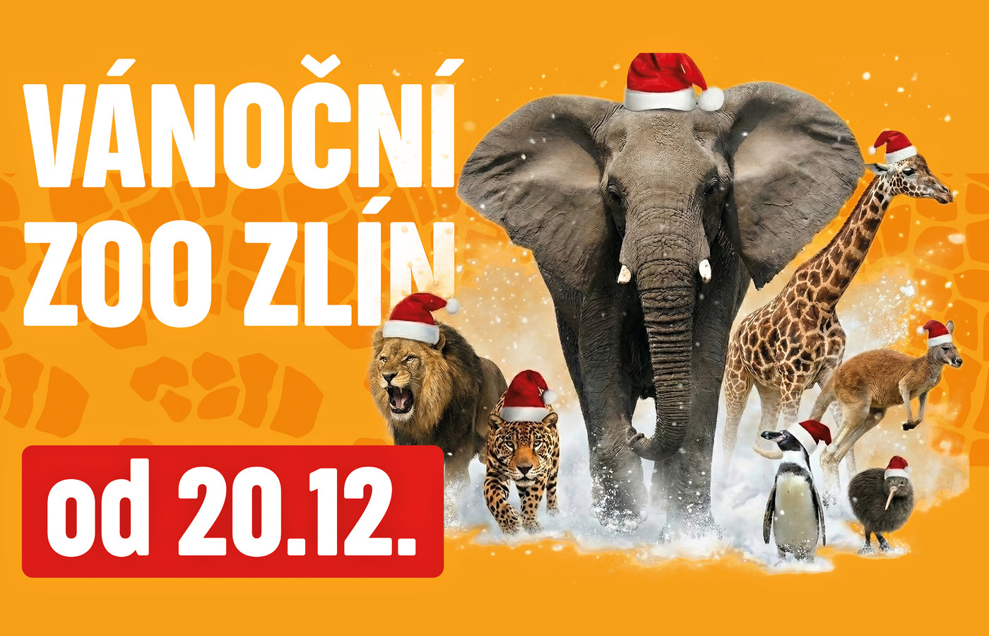 Vánoční Zoo Zlín
