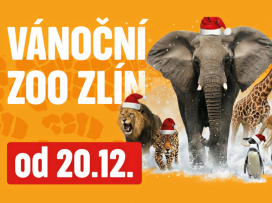 Vánoční Zoo Zlín