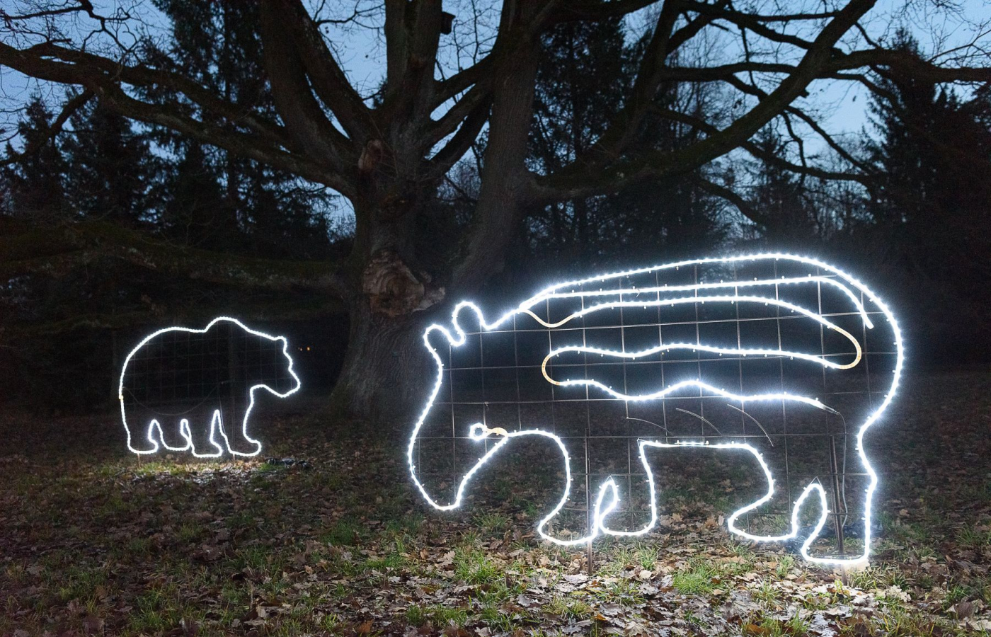 Vánoční Zoo Zlín