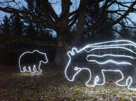 Vánoční Zoo Zlín