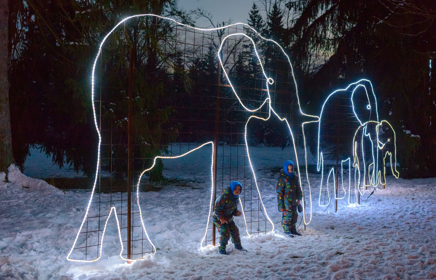 Vánoční Zoo Zlín