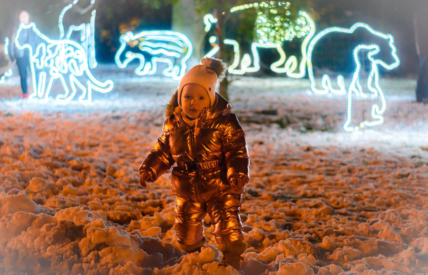 Vánoční Zoo Zlín