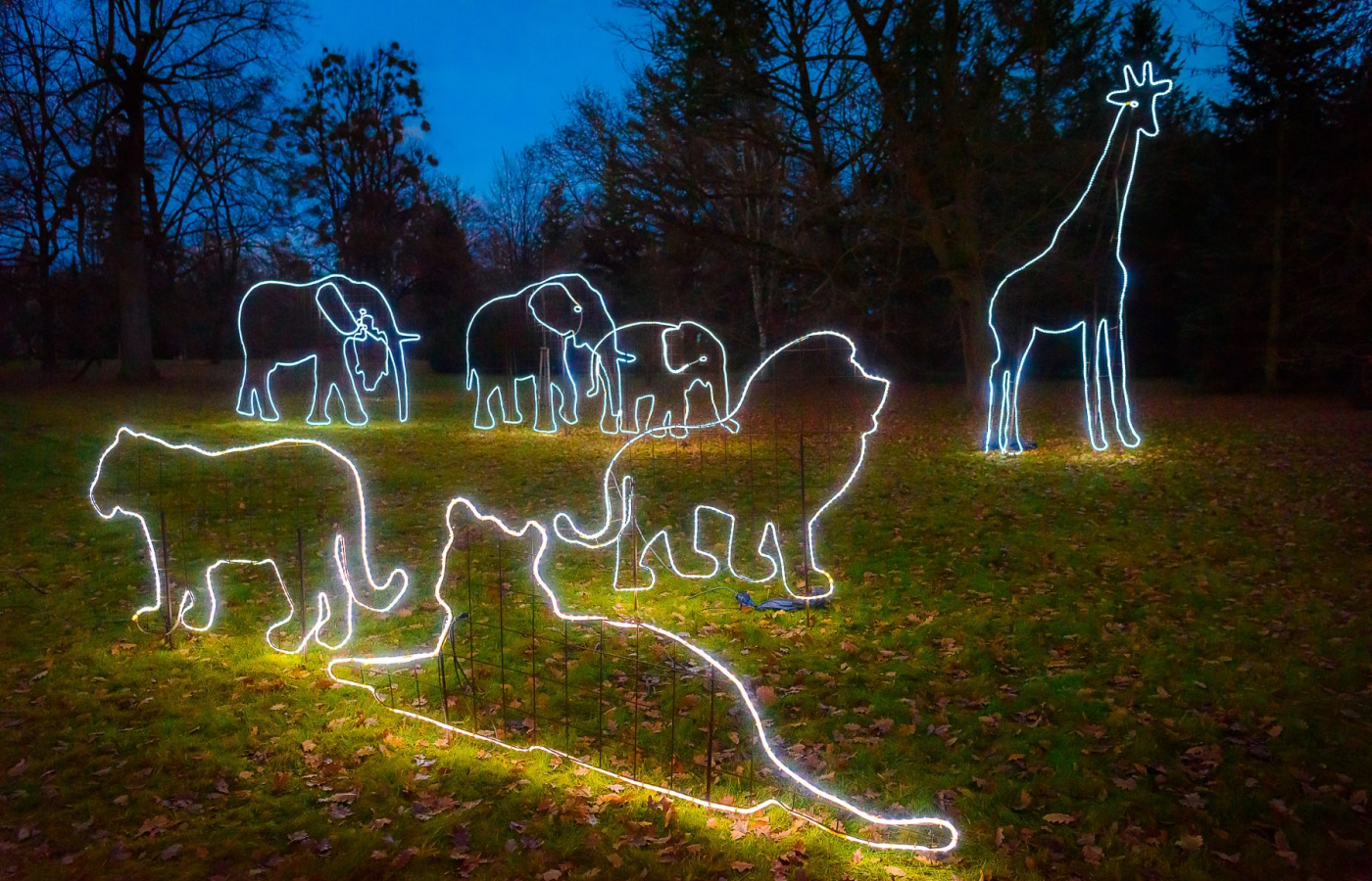 Vánoční Zoo Zlín