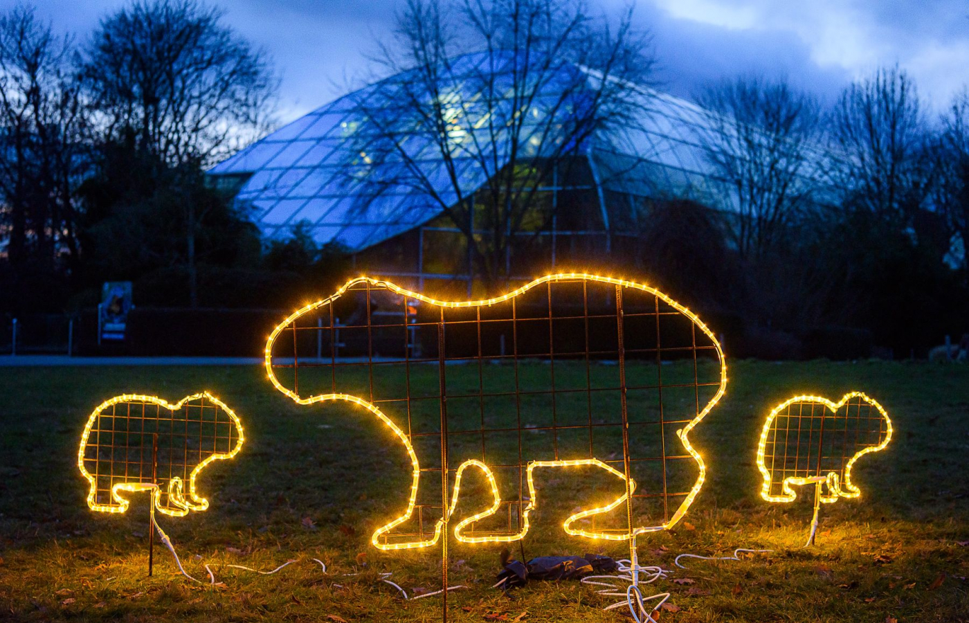 Vánoční Zoo Zlín