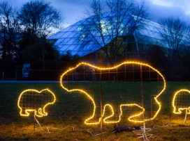 Vánoční Zoo Zlín