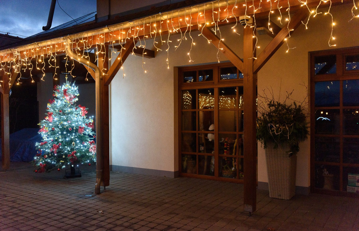 Vánoční Zoo Zlín