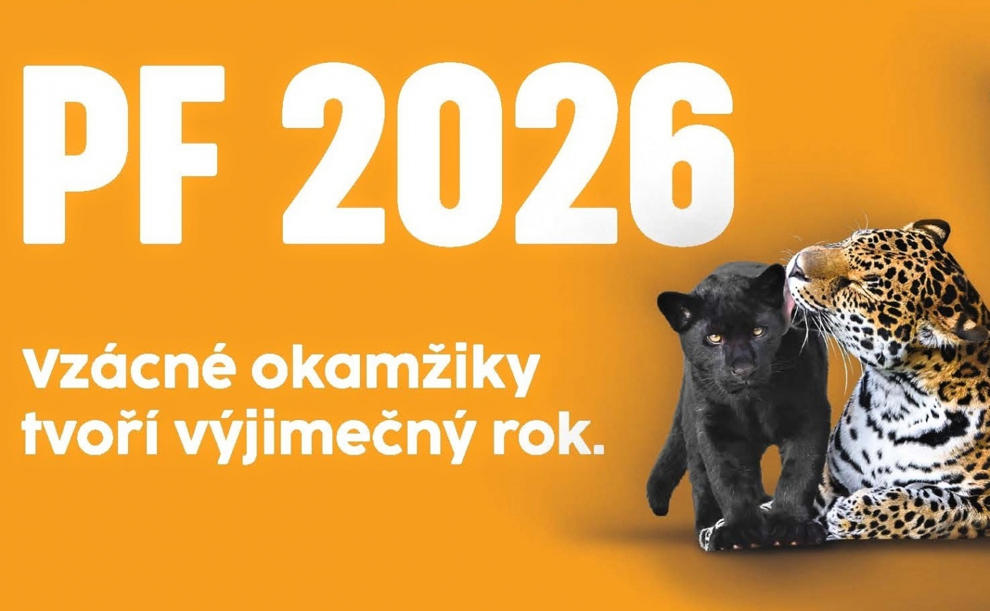 Krásné Vánoce a šťastný nový rok 2026!
