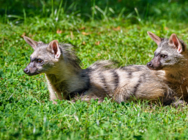 Rok 2025 - nejúspěšnější rok v naší historii