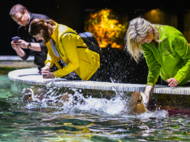 Rok 2025 - nejúspěšnější rok v naší historii