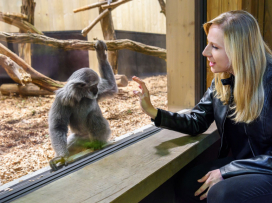 Rok 2025 - nejúspěšnější rok v naší historii