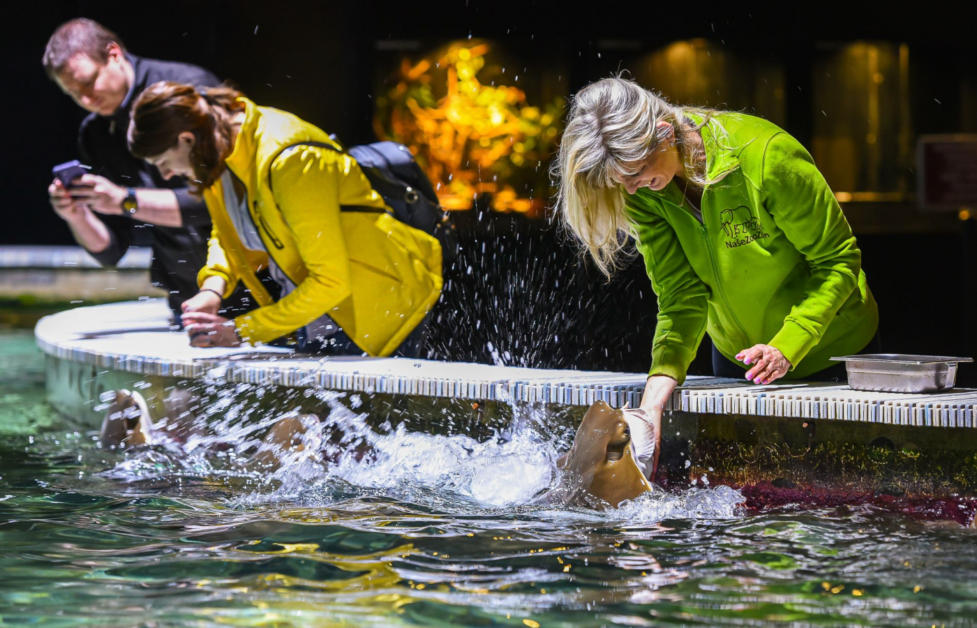 2025 – The Most Successful Year in the History of Zoo Zlín